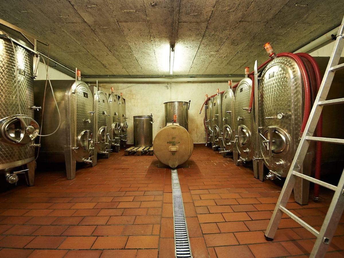 Ferienwohnung-Vinothek Keifer Kinheim Extérieur photo